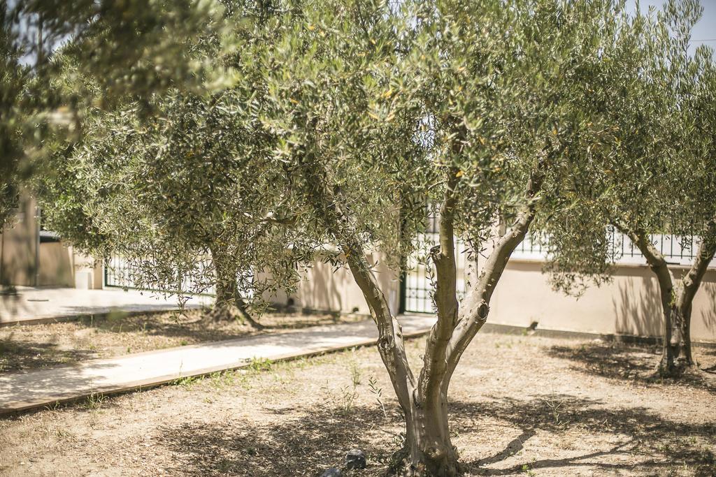 Olive Tree Apartments Fourka Exterior photo